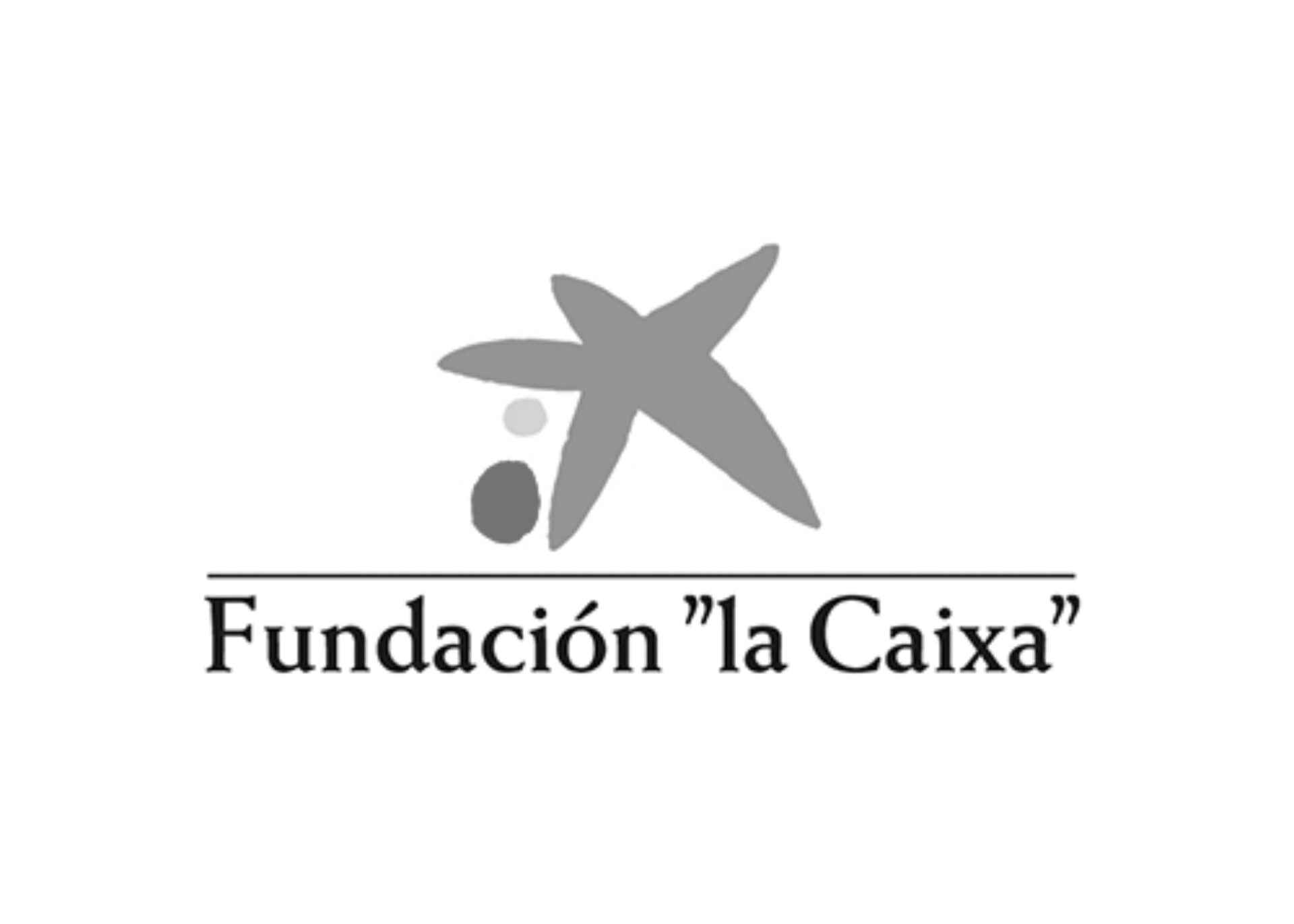 fundacion-la-Caixa-web