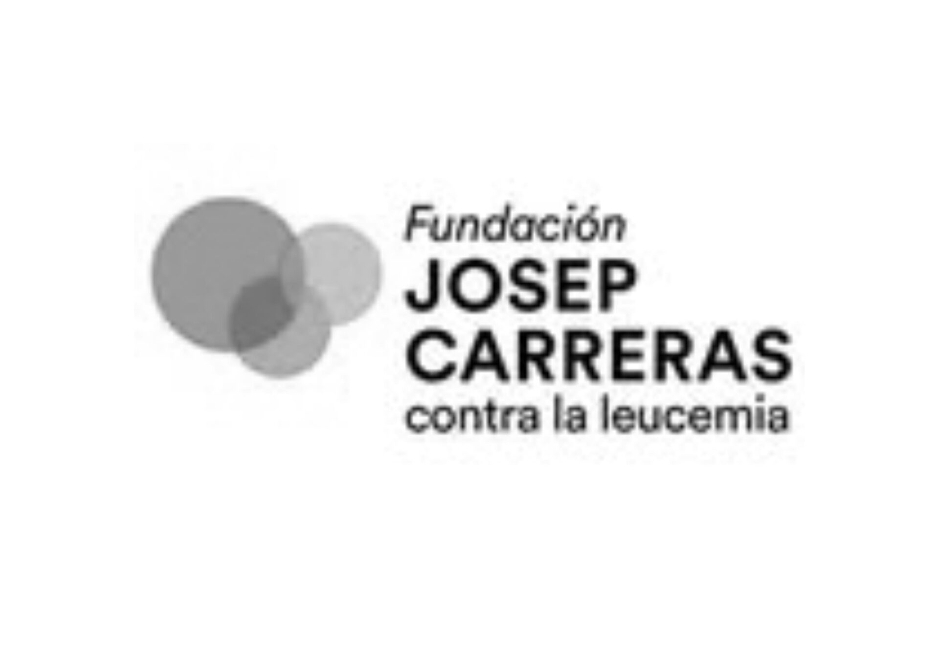 fundacion